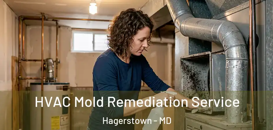  HVAC Mold Remediation Service Hagerstown - MD